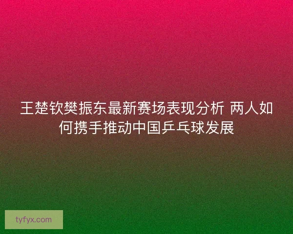 王楚钦樊振东最新赛场表现分析 两人如何携手推动中国乒乓球发展